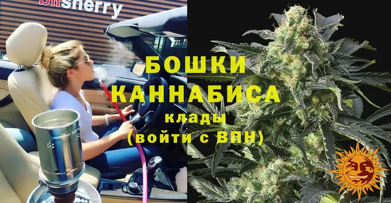 Бошки марихуана SATIVA & INDICA  где найти   hydra сайт  Бежецк 